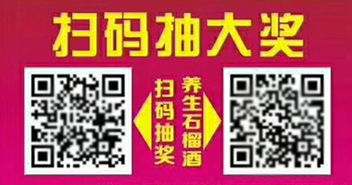 数字时代的成功印迹 个性化与专业网站建设案例解析